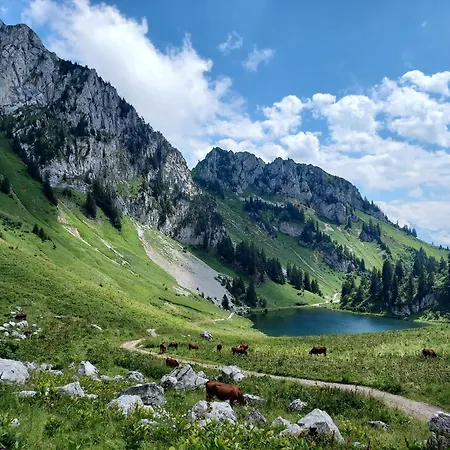 Les Vues De Lily - * Châtel